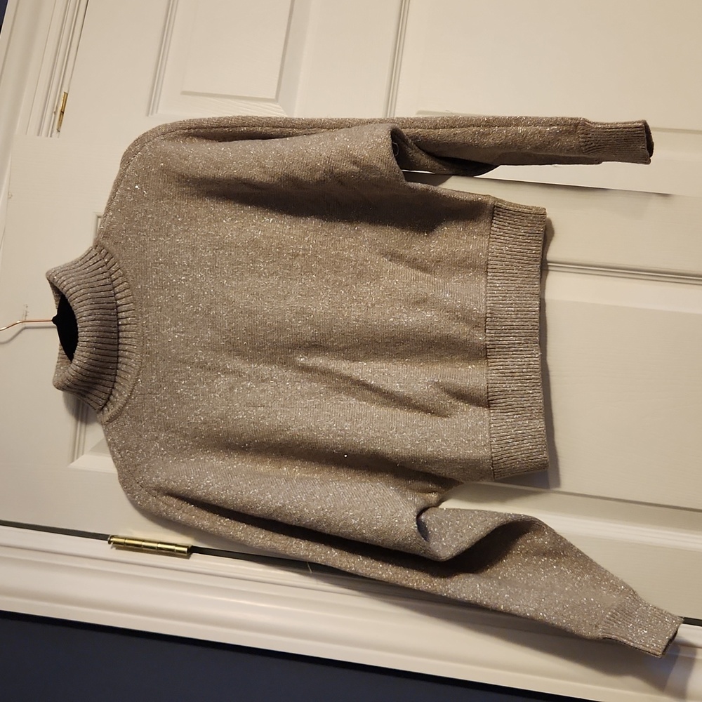 EXPRESS Shimmer Turtleneck